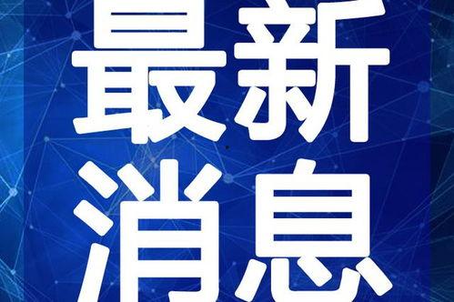 晓蛇爆料视频大全最新,揭秘娱乐圈不为人知的秘密