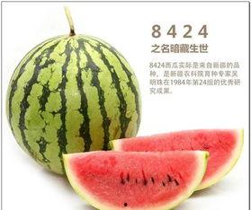 哪里都有中国人娱乐吃瓜