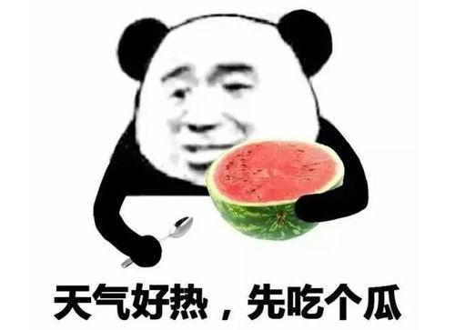 回复吃瓜表情包图片